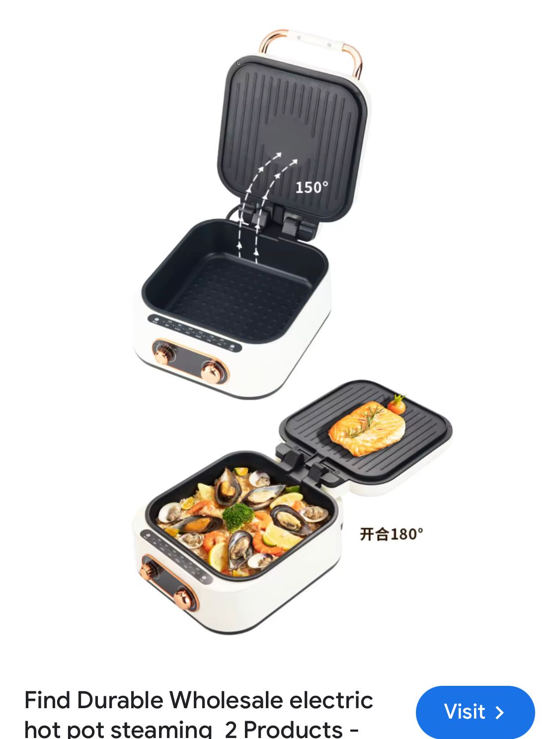 10 in 1 Electric Grill with Cooking Pot, Multifunctional Cooker