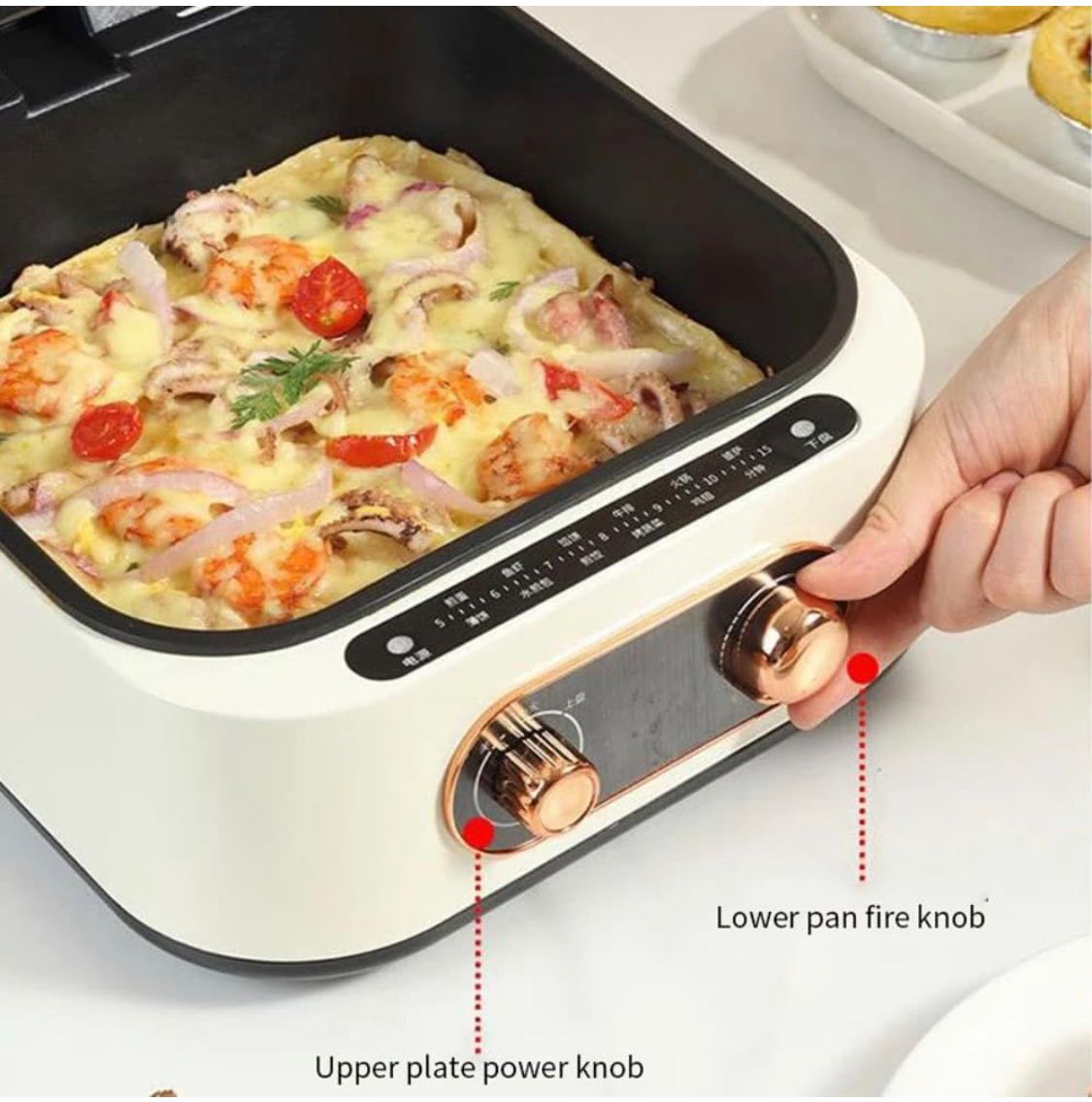 10 in 1 Electric Grill with Cooking Pot, Multifunctional Cooker