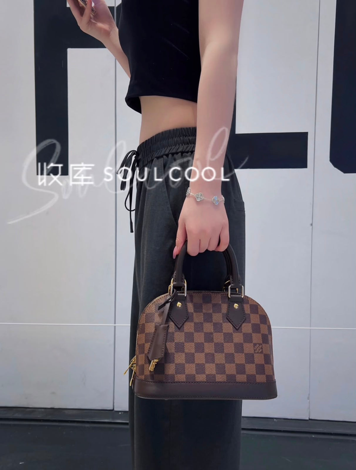 LV Alma Damier Canvas Leather Bag 26cm