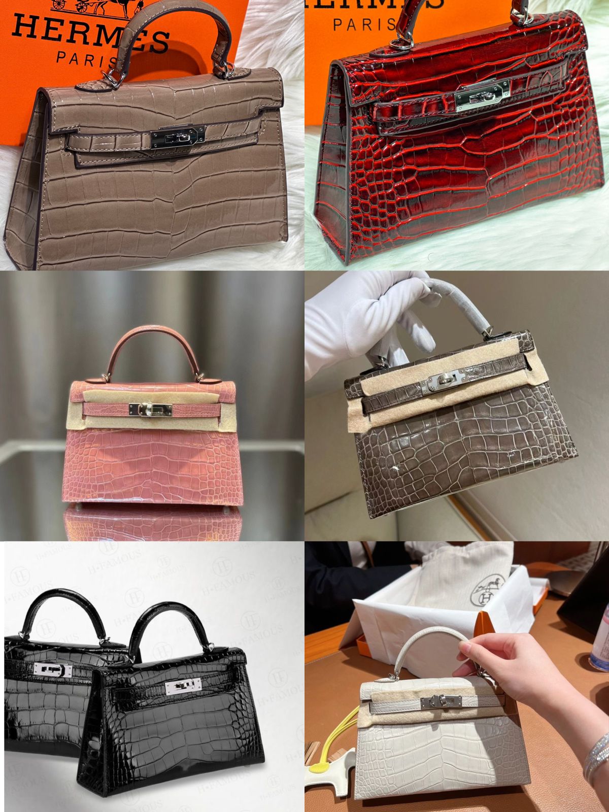H Mini Crocodile & Alligator Bag 22cm - Saadstore