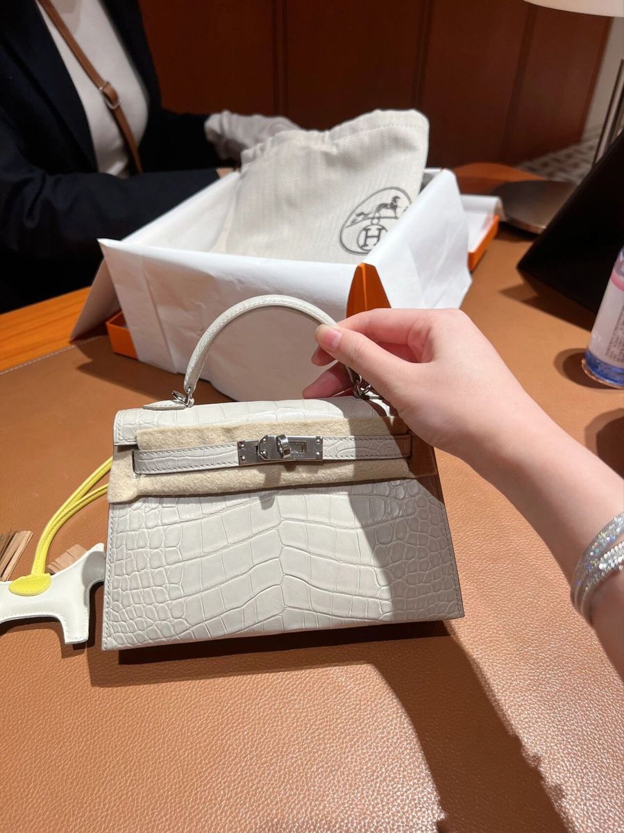 H Mini Crocodile & Alligator Bag 22cm - Saadstore