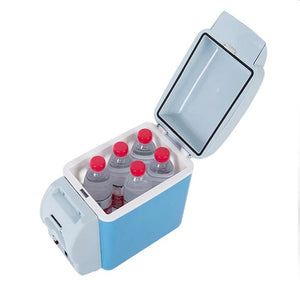 mini car fridge 12v
