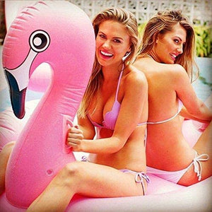 Inflatable Giant Swan Float Pool