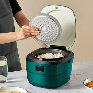 Mini  rice Cooker