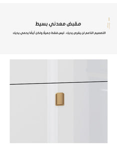 Italian-style luxury ultra-thin shoe cabinet
